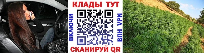 Магазины продажи наркотиков Светогорск кракен ССЫЛКА  Alpha PVP  МЕФ  Cocaine 