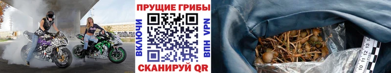 Псилоцибиновые грибы MAGIC MUSHROOMS  Светогорск 