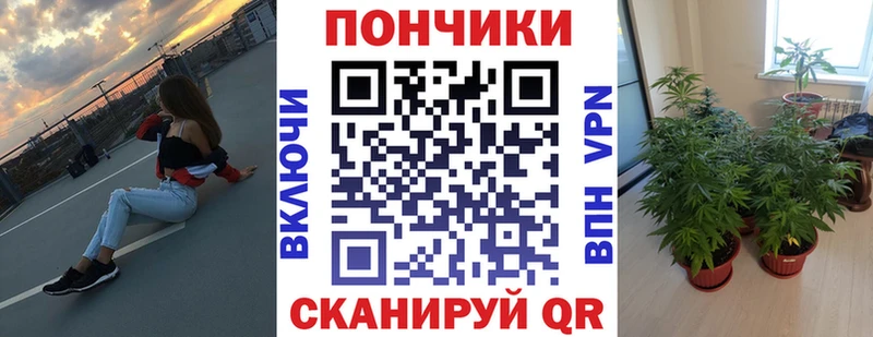 Канабис ГИДРОПОН Светогорск